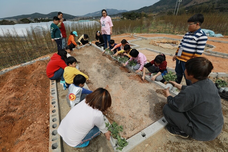 여민동락 공동체’가 토요일에 여는 어린이 농부학교에서 아이들이 강낭콩을 심고 있다.