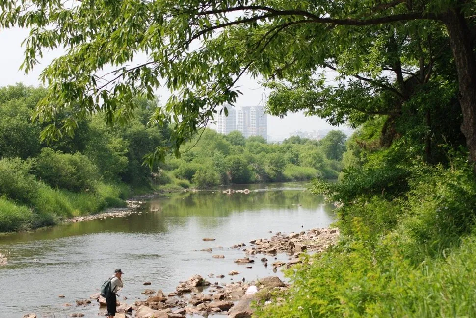 5.6km 갑천 제방 올라가면…수달, 삵, 가재는 어디서 살지