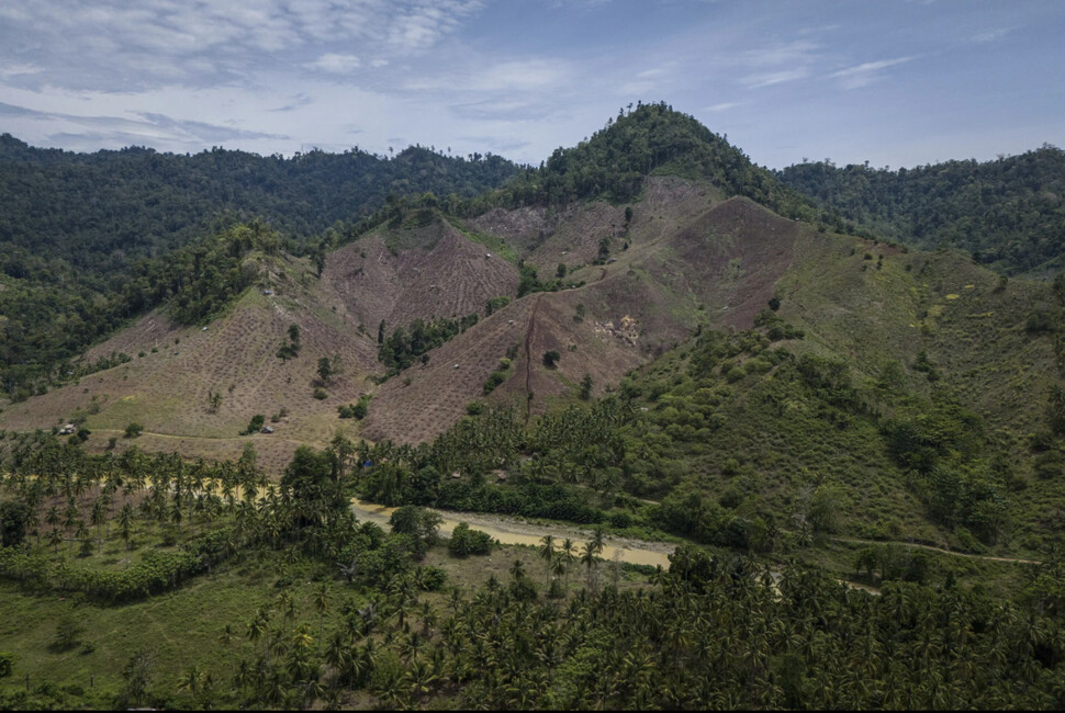 2024년 10월 바이오매스 공급을 위해 훼손된 인도네시아 고론탈로 지역의 숲. 인도네시아 환경단체 ‘아우리가 누산타라’가 고론탈로 지역(술라웨시 섬 북부) 열대우림의 벌채 실태를 고발한 뒤 인도네시아 내외신 취재가 이뤄졌다. AP 연합뉴스