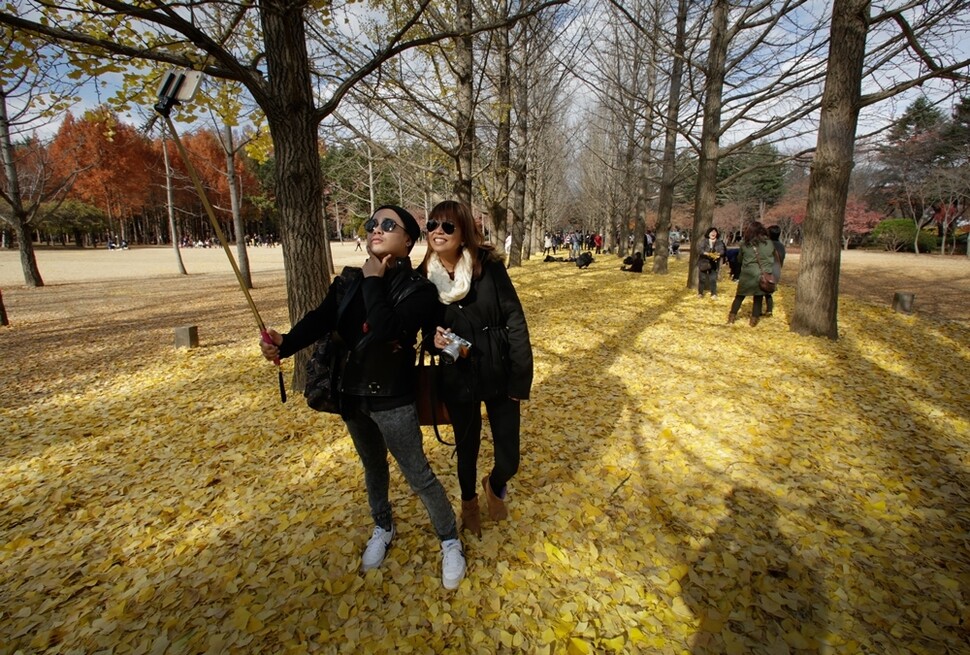 단풍을 처음 보는 인도네시아·말레이시아 관광객들이 은행잎이나 단풍잎을 보며 환호한다.