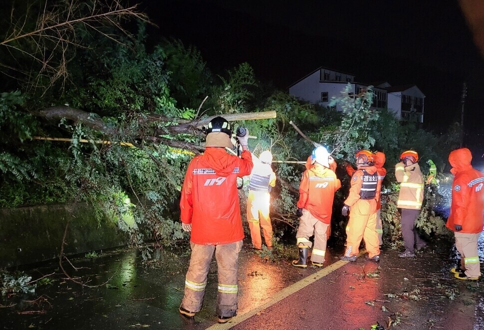 Firefighters work to remove a tree that was felled by Typhoon Hinnamnor in the early hours of Sept. 6 in the town of Sanyang in Tongyeong, South Gyeongsang Province. (courtesy Gyeongsangnam-do Provincial Fire Headquarters)