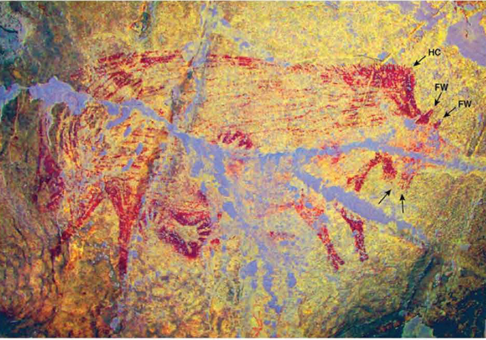 인도네시아 술라웨시섬 리앙 발랑가지아1 동굴에서 발견된 그림은 3만2천년 전에 그려진 것으로 확인됐다. ’사이언스 어드밴시스’ 제공