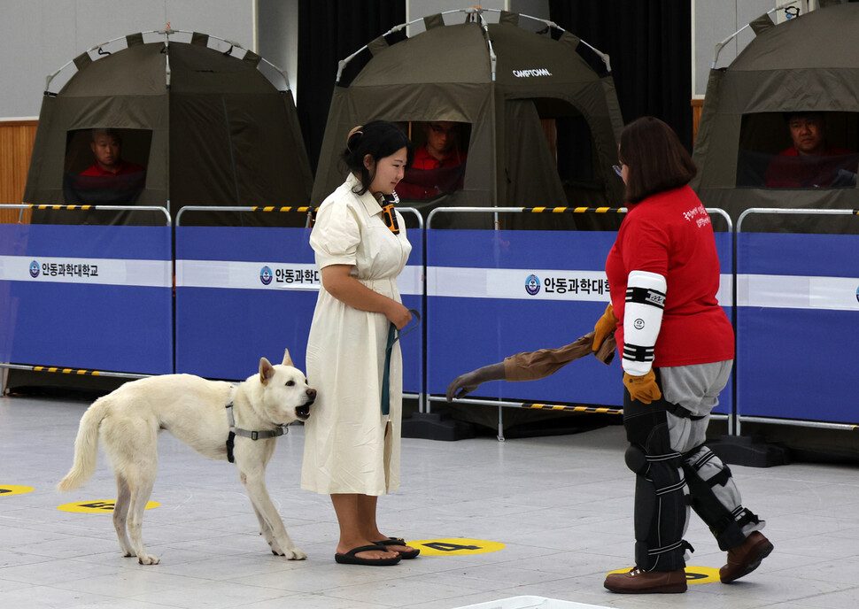 김돌돌(풍산개)이 자신을 만지려 다가오는 사람을 보고 짖으며 반려인 뒤로 물러서고 있다.