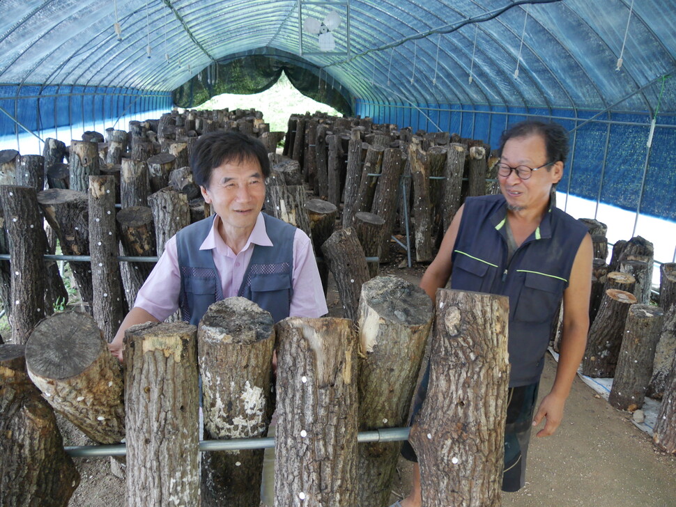 얼쑤농장의 버섯을 재배하는 윤기현 선생(왼쪽)과 김일섭 대표.