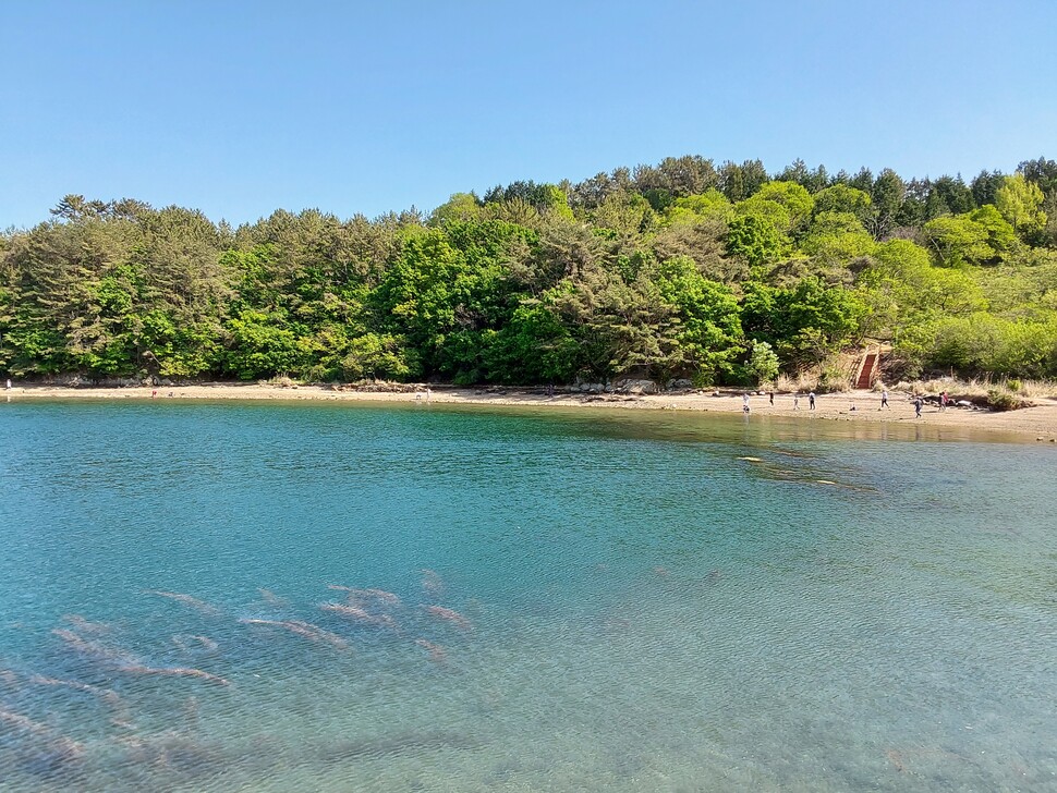 경남 창원시 마산합포구 구산면에 있는 섬, 저도.