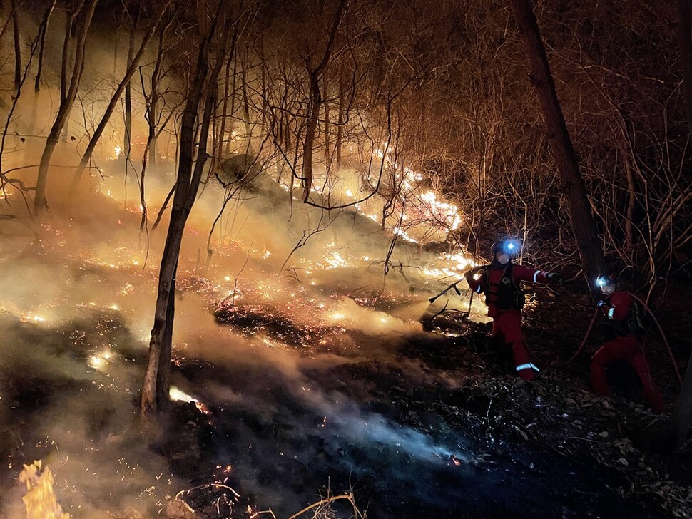 강원도 강릉의 산불은 방화로 일어났다. 한국 사회의 불길한 모습을 볼 수 있는 그림 중 하나다. 2022년 강릉 산불은 3월8일 90시간 만에 잡혔다. 연합뉴스