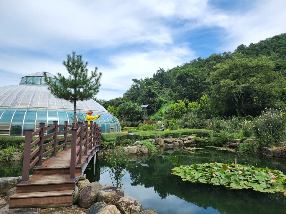 Wanju’s Wild and Local Food Festival is held in Gosan Recreational Forest, the garden of which can be seen here.