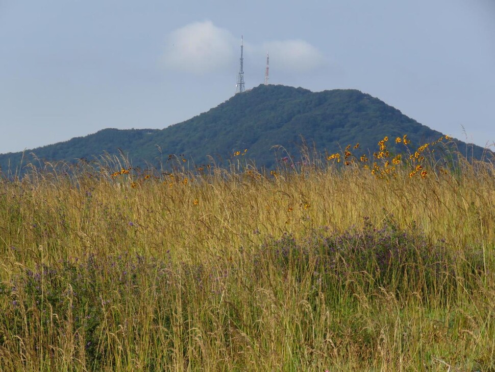 부산 황령산. 부산그린트러스트 제공