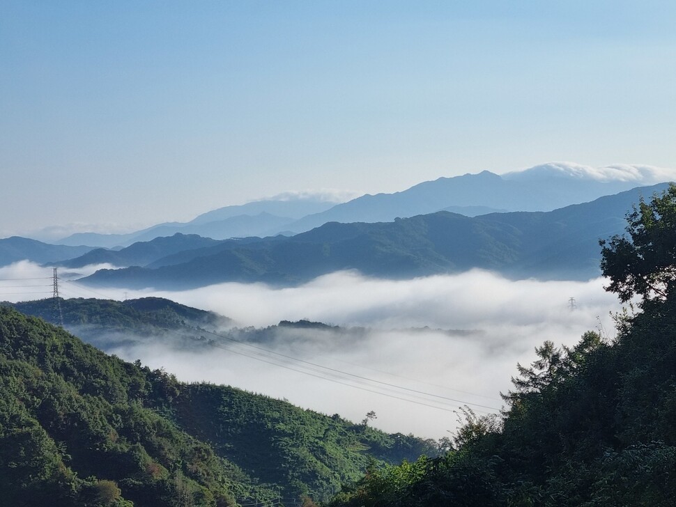 장수 트레일 레이스에서 만난 장수의 산과 안개. 신동호 제공