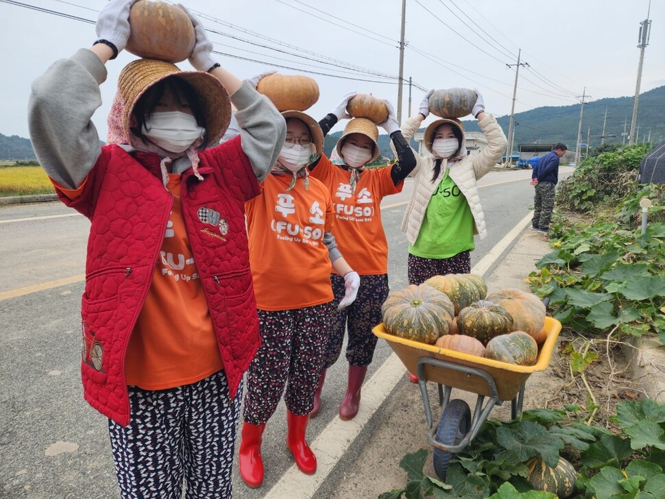 전남 강진군 마량면에 있는 내미농박에서 농촌 체험하는 학생들 모습. 이호남씨 제공