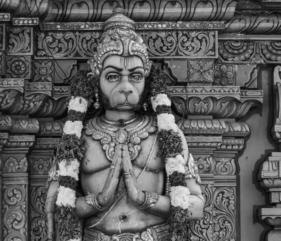 너라고 불러도 될까. 사진 속 너는 원숭이지만 신이라 숭배되고, 나는 겨우 사람일 뿐이니. 그러므로 ‘님’이라 불러야 할까. 너희는 마치 거울처럼 사람에게 다가온다. 사마천의 ‘사기’에 나오는 고사성어 ‘목후이관’은 목욕시킨 원숭이에게 갓을 씌웠다는 뜻인데, 그야말로 우리의 모습은 아닌지. 2017년 싱가포르 힌두교 사원.