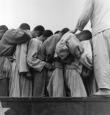 韓国戦争の時 ‘刑務所集団虐殺’