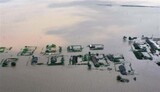 北 鴨緑江 氾濫 新義州‘浸水’