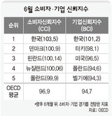 韓国 企業・消費者 景気展望 OECD国家中最も楽観的