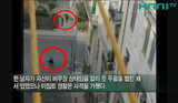 エジプト警察 デモ隊 残酷鎮圧 映像公開さる
