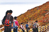 人は登り紅葉は降りて