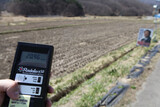 原子力発電所から30km圏外側の桜並木‘放射能 40倍’…花見に出てきた市民たちを襲う