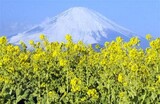 富士山、規模7の地震で崩落も-…