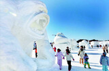 平昌（ピョンチャン）は今,雪の花祭り