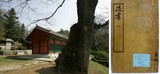老論-植民史観 事大主義と連結された人脈