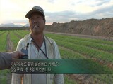 流通業者 