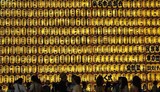 日本閣僚 4人 靖国神社に‘奉納’