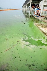 ‘MB王次官’４大河川 大運河推進文書 現る
