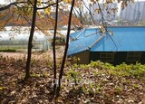 全斗煥一家 差し押さえ財産 公売着手