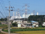 送電塔が建って以来・・・「一戸おきに癌患者」