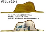 核についての錯覚と誤解 