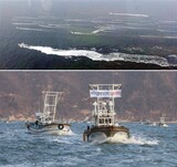 [フォト] 韓国西海5島の漁民、中国漁船の不法操業に抗議の大規模海上デモ