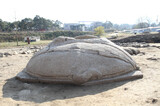 [フォト] 江陵 掘山寺址で高麗時代の亀石を発見