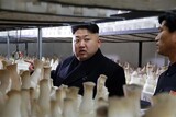 「韓米合同軍事訓練中断なら核実験中断」…米国は北朝鮮提案を「暗黙的な脅威」と拒否