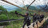 北朝鮮軍が軍事境界線侵犯…警告射撃受け戻る