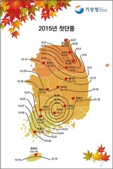 韓国に紅葉シーズン到来、雪岳山は１０月１８日が盛り