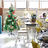 [フォト]セウォル号事故から600日、クリスマスツリーに守られる檀園高校の教室