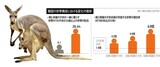 親と同居する「カンガルー族」が韓国で増加　同居未婚者の２６％が２５歳以上