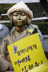 慰安婦財団設立に合わせ少女像が撤去される見込み