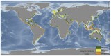 北東アジア４カ国の地方都市がブルーカーボンで共同研究