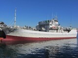 ベトナム人船員の韓国人船長殺害、異常な雇用構造が犯行招く