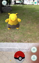 「ポケモンGO」聖地となった束草、サービス前の韓国でプレイ可能に