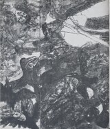 ［寄稿］からす