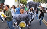 「絶滅危惧種に脅威」雪岳山五色ケーブルカー事実上取止め