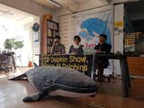 またイルカが１頭死亡…「水族館はイルカの墓地か」