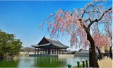 韓国で最も大きく華麗な楼閣が来月から開放