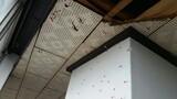 韓国国家機関「光州民主化運動の際、ヘリから機関銃射撃の可能性」初めて認定