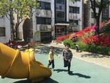 親が不法滞在者だと私も不法なの？…４歳のダットの問いかけ