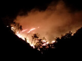 「山火事深刻」危機警報にも…災難ショートメールは届かず