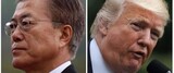 ［コラム］文在寅-トランプ政権の“北朝鮮核問題の相性”
