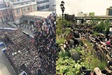 「芸術か、醜物か」議論呼んだソウル路の“シューズツリー”